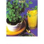 【ハーブの種】スペアミント【藤田種子】（0.2ml）【