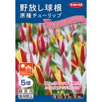 商品画像2