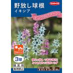 野放し球根日なた向き