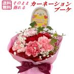 【母の日ギフト】そのまま飾れるカーネーションブーケ