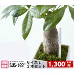 ★2本セット★【メール便で送料無料】水分計サスティー（Lサイズ）【6から12号鉢用】水やり,観葉植物,洋蘭,多肉植物