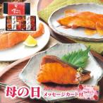 遅れてごめんね 母の日限定包装 氷温熟成 煮魚 焼魚ギフトセット 10切 HNYG100 : 母の日 グルメセット 母の日 ギフト 母の日 2022 食べ物