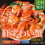 鳥取県 境港産 ボイル 紅ずわい蟹 A級 5尾SET（1尾300〜390g）【紅ずわい300A5尾】