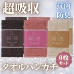 エアーかおるなでしこ純ギラ銀タオル...