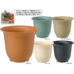 ノアポット５号お買い得5個セット(P5)/ポット・鉢