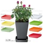 受皿クエンチプレート　6号　お買い得3枚セット