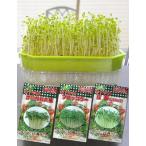 キッチンファーム＃250　栽培セット