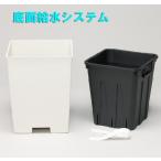 底面潅水システムラクアインナーポットセット310型
