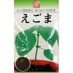 えごま　タネ
