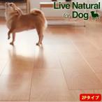  утро день дерево Tec напольное покрытие Live натуральный MSX super 6 for Dog 2P модель 1 цубо (3.3 flat рис )/1. пол подогрев соответствует толщина 6.4mm собака ..... скольжение .... осуществление 