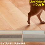  утро день дерево Tec напольное покрытие Live натуральный MSX-Lne даллес 145 for Dog 1 цубо (3.16 flat рис )/1. пол подогрев соответствует толщина 13.5mm звукоизоляция собака ..... скольжение .... осуществление 