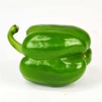  зеленый паприка 