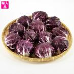 tore vi s(tore винт ) коробка .