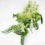  палочка senyo-ru