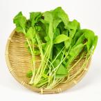 rukola( Rocket ) пакет ввод 