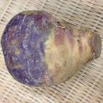 rutabaga(rutapaka)* желтый ..