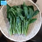 ほうれん草