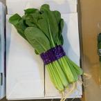  шпинат комацуна ( пачка )