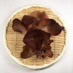  сырой дерево уголок иудино ухо 