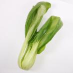  подбородок gen.( синий ..) пакет ввод 