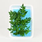  юг небо синий (.... наан тонн )