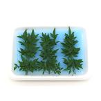  юг небо синий ( маленький ) ( ширина юг небо .... наан тонн )