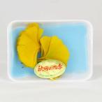  гинкго. лист ( желтый )