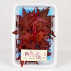 momiji. лист ( красный )