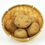 [ месяц * дерево * суббота отгрузка ] иметь машина картофель 