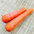 [ месяц * дерево * суббота отгрузка ] иметь машина морковь ( морковь ) 400g степень 