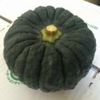  чёрная кожа тыква 