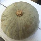  снег косметика тыква 