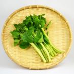  цветок васаби 