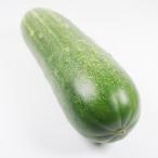 .. futoshi огурец 