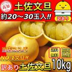 ショッピング文旦 文旦 土佐文旦 10kg サイズお任せ (約20〜30玉）訳あり ご家庭用   高知県産 10キロ ぶんたん  【サイズお任せ１０キロ　土佐文旦】《2月上旬より順次発送》
