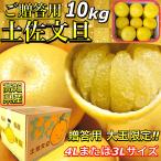 ショッピング文旦 《贈答用》 土佐文旦 高知県産 文旦 大玉 4L または 3L 10kg  ぶんたん 露地土佐文旦 10キロ 【◆贈答用１０キロ◆　４Lまたは３L 土佐文旦】