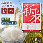 米 令和7年産 新米 お米 5kg 高知県産 【 ヒノヒカリ 5キロ 】令和7年 白米 奥四万十米 四万十川 《9月下旬よりご注文順に発送開始》
