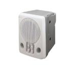 TOA беспроводной динамик WA-1801 ( большой ba City )