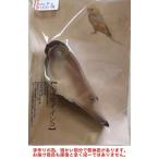 スズロ舎 クッキー型 セキセイインコ