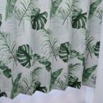 遮光カーテン KOジャングル 植物柄 幅100cm×丈178cm2枚 形状記憶加工付