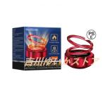 車 防氷解雪装置 電磁車除氷剤 自動車用電磁除雪 アロマ機能 雪対策グッズ 車用除雪装置 ミニ ポータブル 凍結防止 除雪器具 自動車用 ミニ除氷器