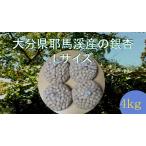 .... серебристый наан гинкго L(LL размер аналог )( Ooita префектура . лошадь . производство )4kg