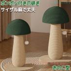  кошка коготь точить .. . грибы .. . type коготь точить .. класть вертикальный чувство уверенности развлечение коготь точить мяч шар брать . compact интерьер мусор ... нет мусор канава канава 