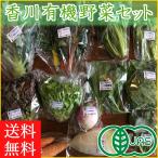 【送料無料】香川産 有機野菜セット レギュラーコース 12~13品/旬の野菜詰め合せ/オーガニック JAS/誕生日 ギフト プレゼント 【セット】