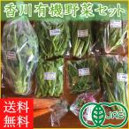 【送料無料】香川産 有機野菜セット ライトコース 7~8品/旬の野菜詰め合せ/オーガニック JAS/誕生日 ギフト プレゼント【セット】