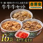 吉野家 公式 【冷凍】 牛牛牛セット17袋(牛丼8袋・牛焼肉丼/牛鍋丼 各4袋・紅生姜1袋) 吉野家 牛丼 牛丼の具 冷凍食品