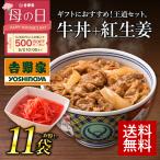 【お中元ギフト】吉野家 冷凍牛丼の具120g 10袋+紅生姜１袋セット