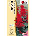  цветок вид NL300sa рубин a фламенко красный маленький пакет [FSR271][ цветок. вид ][takii. tane][ садоводство ]