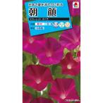  цветок вид NL150 запад утро лицо алый o - la маленький пакет [FAA311][takii. tane][ садоводство ]