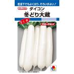 大根種子　冬どり大蔵　2DLP　【タキイ種苗】【野菜種